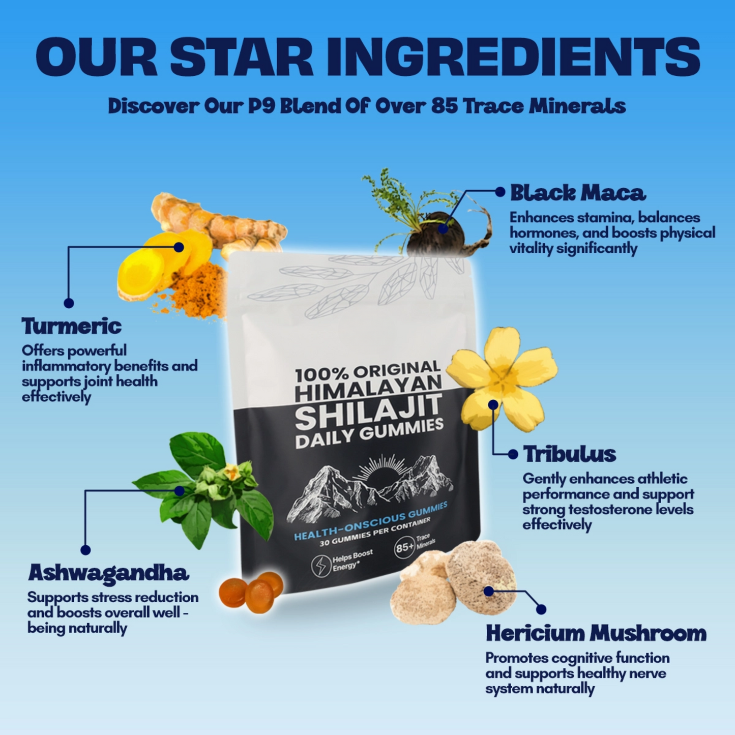KASTOX 100% ORIGINAL HIMALAYAN SHILAJIT DAILY GUMMIES