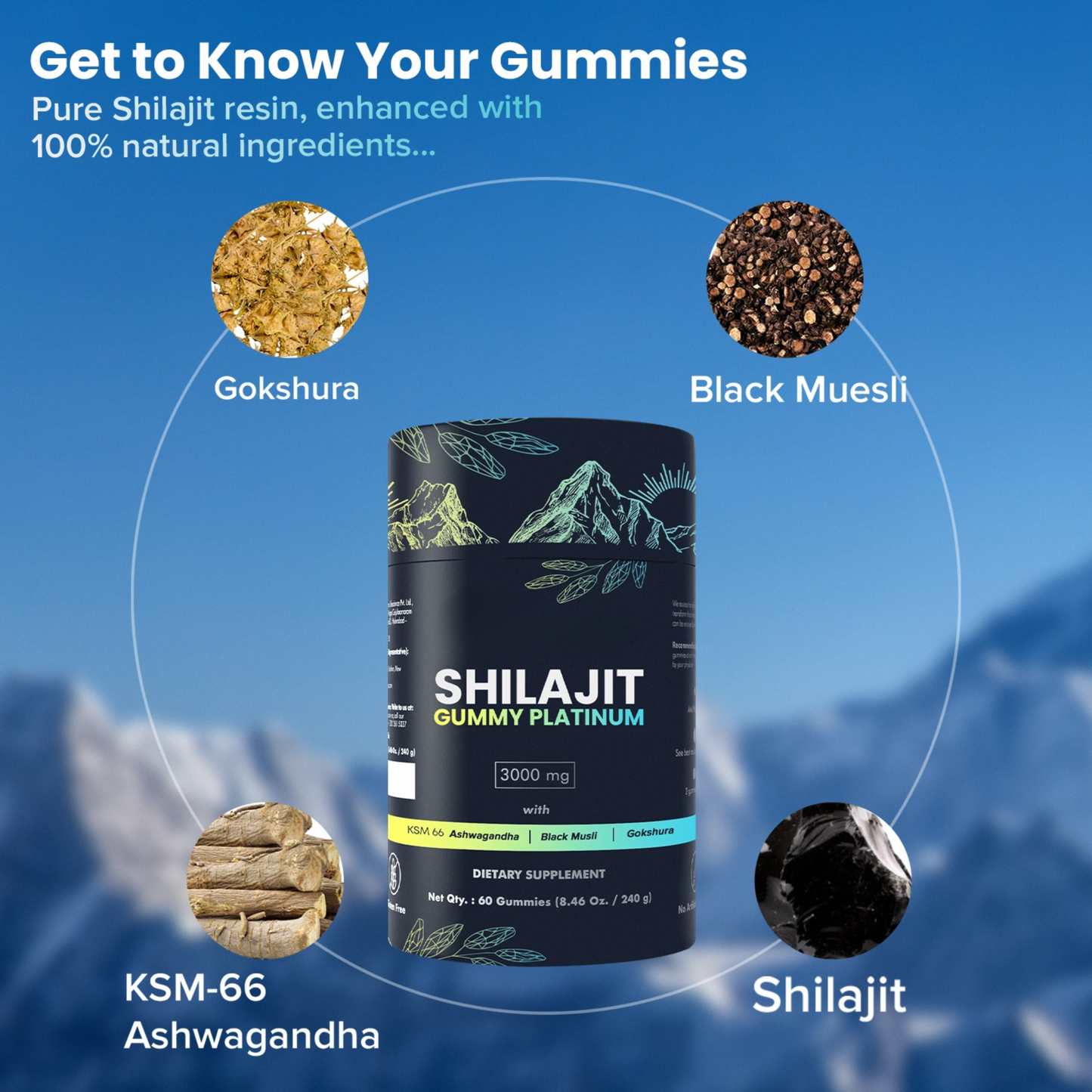 KASTOX 100% SHILAJIT GUMMY PLATINUM