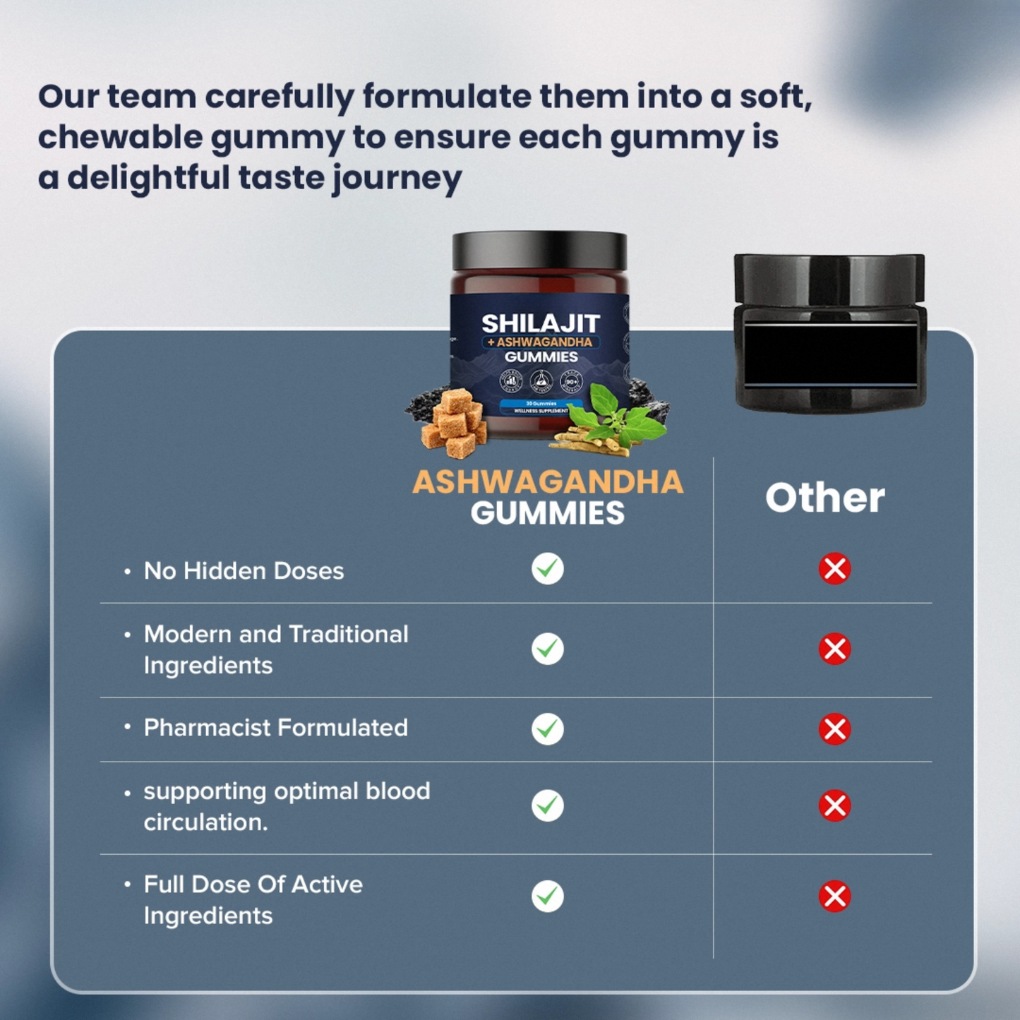 KASTOX SHILAJIT & ASHWAGANDHA 2 IN 1 WELLNESS GUMMIES