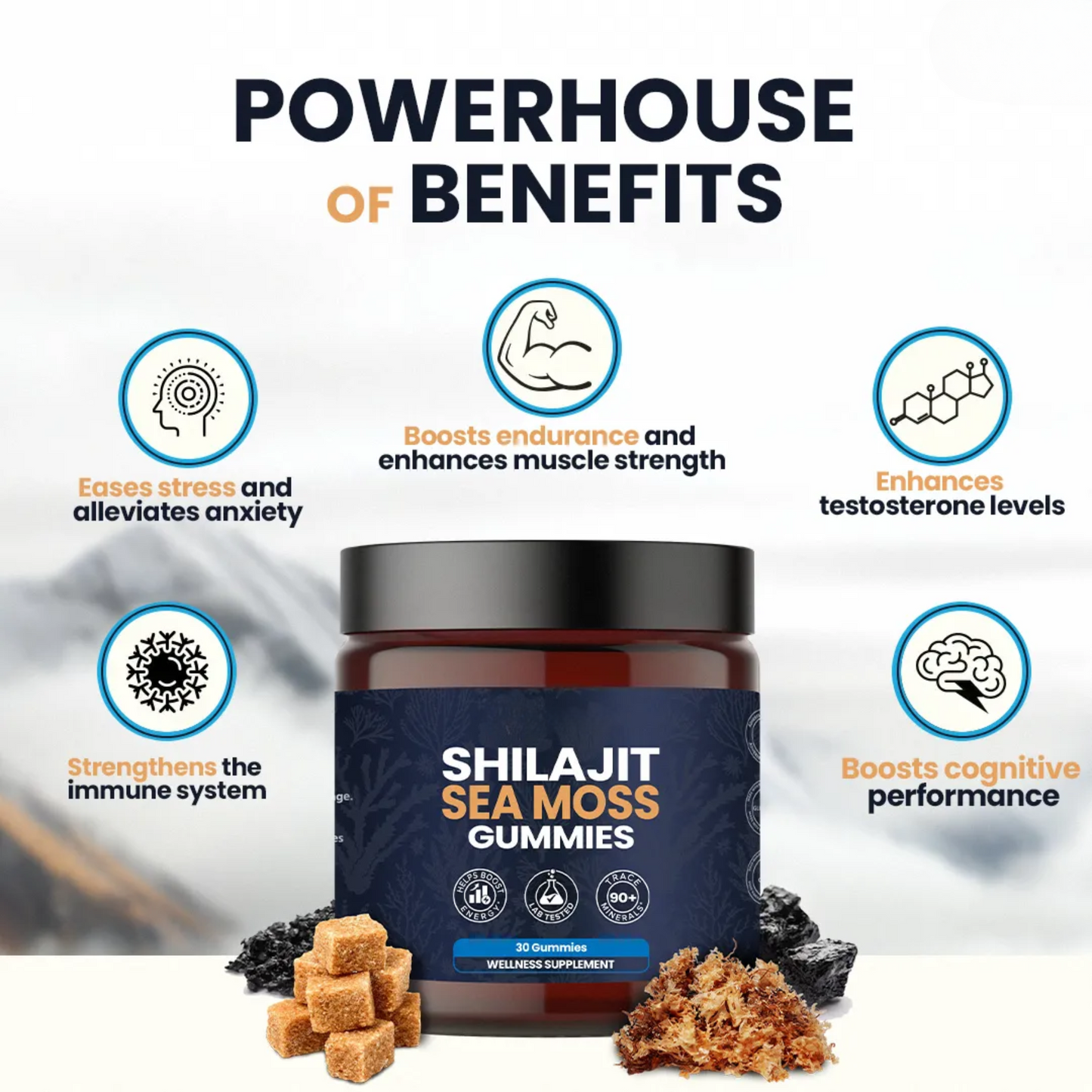 KASTOX SHILAJIT & SEAMOSS 2 IN 1 WELLNESS GUMMIES