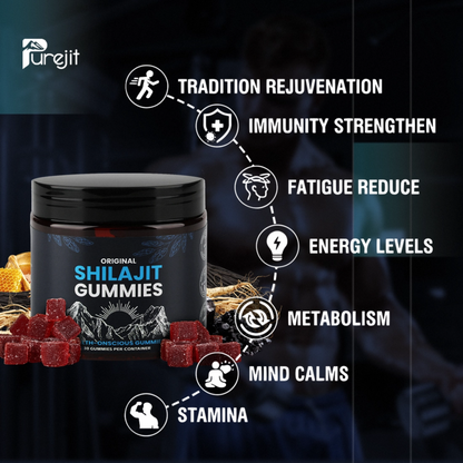 KASTOX SHILAJIT GUMMIES & SEAMOSS GUMMIES SPECIAL BUNDLE