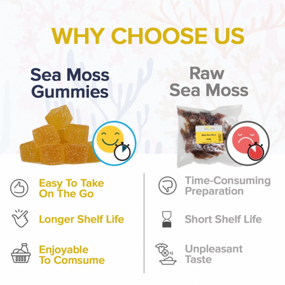 KASTOX SEA MOSS GUMMIES ELDERBERRY & BLACK SEED OIL