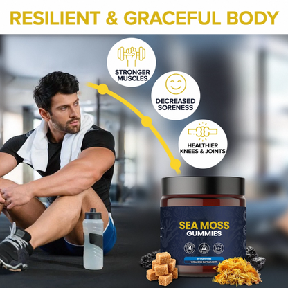 KASTOX SEA MOSS GUMMIES ELDERBERRY & BLACK SEED OIL