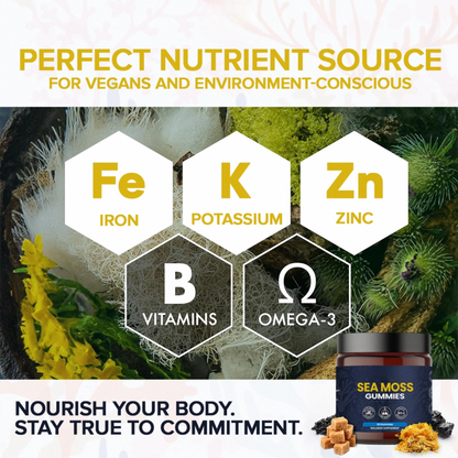 KASTOX SEA MOSS GUMMIES ELDERBERRY & BLACK SEED OIL