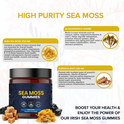 KASTOX SEA MOSS GUMMIES ELDERBERRY & BLACK SEED OIL