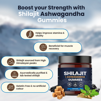 KASTOX SHILAJIT & ASHWAGANDHA 2 IN 1 WELLNESS GUMMIES
