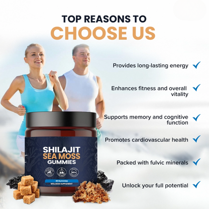 KASTOX SHILAJIT & SEAMOSS 2 IN 1 WELLNESS GUMMIES