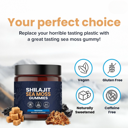KASTOX SHILAJIT & SEAMOSS 2 IN 1 WELLNESS GUMMIES