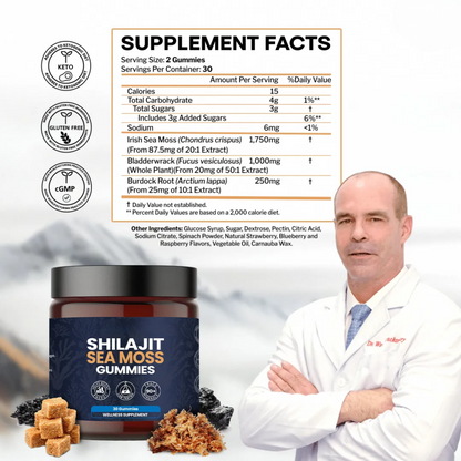 KASTOX SHILAJIT & SEAMOSS 2 IN 1 WELLNESS GUMMIES