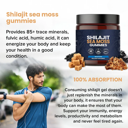 KASTOX SHILAJIT & SEAMOSS 2 IN 1 WELLNESS GUMMIES